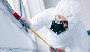 Best Pest Control for Warehouses  in Shields, MI